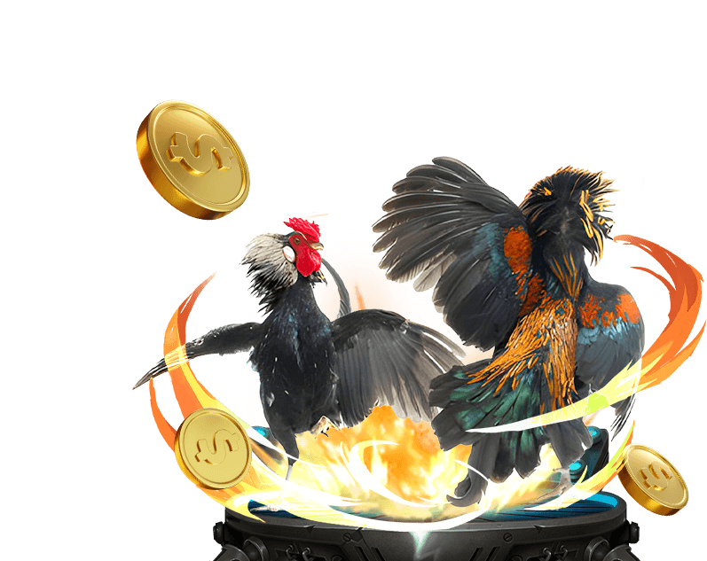 Cá Cược Thể Thao fa88