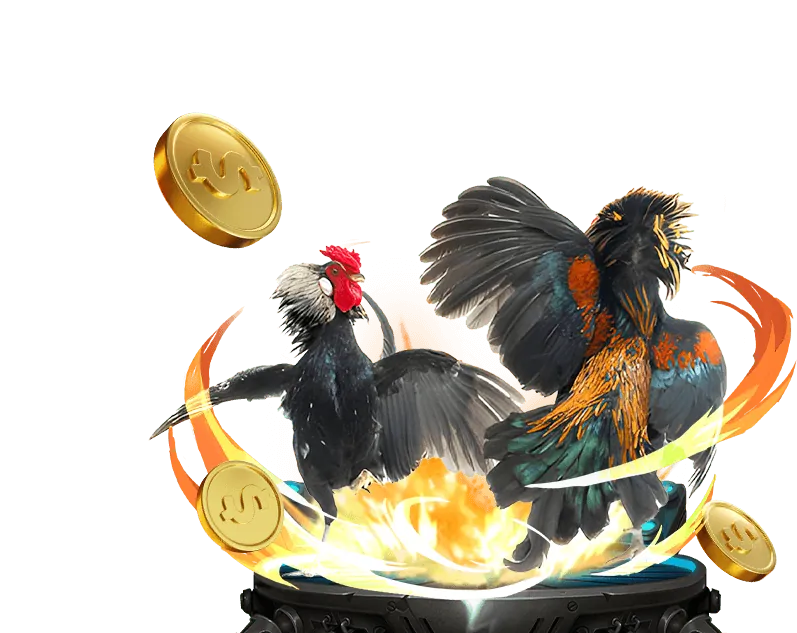 Cá Cược Thể Thao fa88